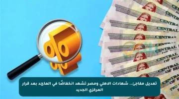 تعديل مفاجئ.. شهادات الأهلي ومصر تشهد انخفاضًا في العائد بعد قرار المركزي الجديد